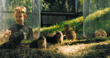 Beardsley Zoological Garden Exhibit